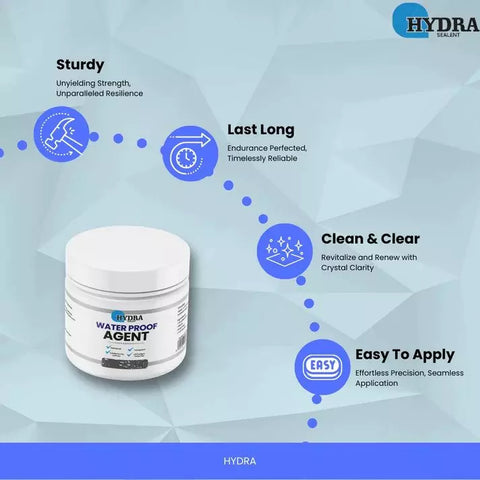 Hydra Sealant Water Proof Agent 300g  With Brush  - (FREE Delivery)